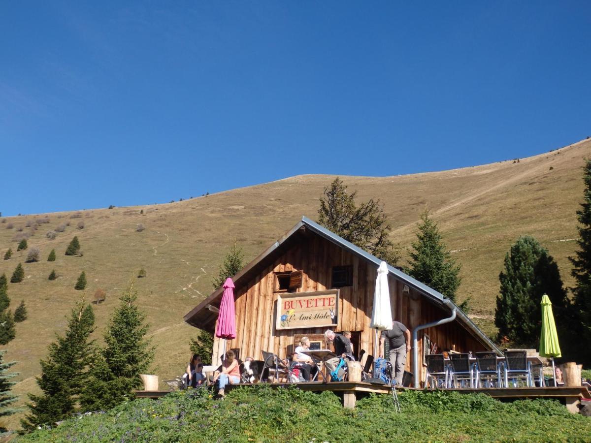 Au Coeur Des Alpes Marignier Exterior foto