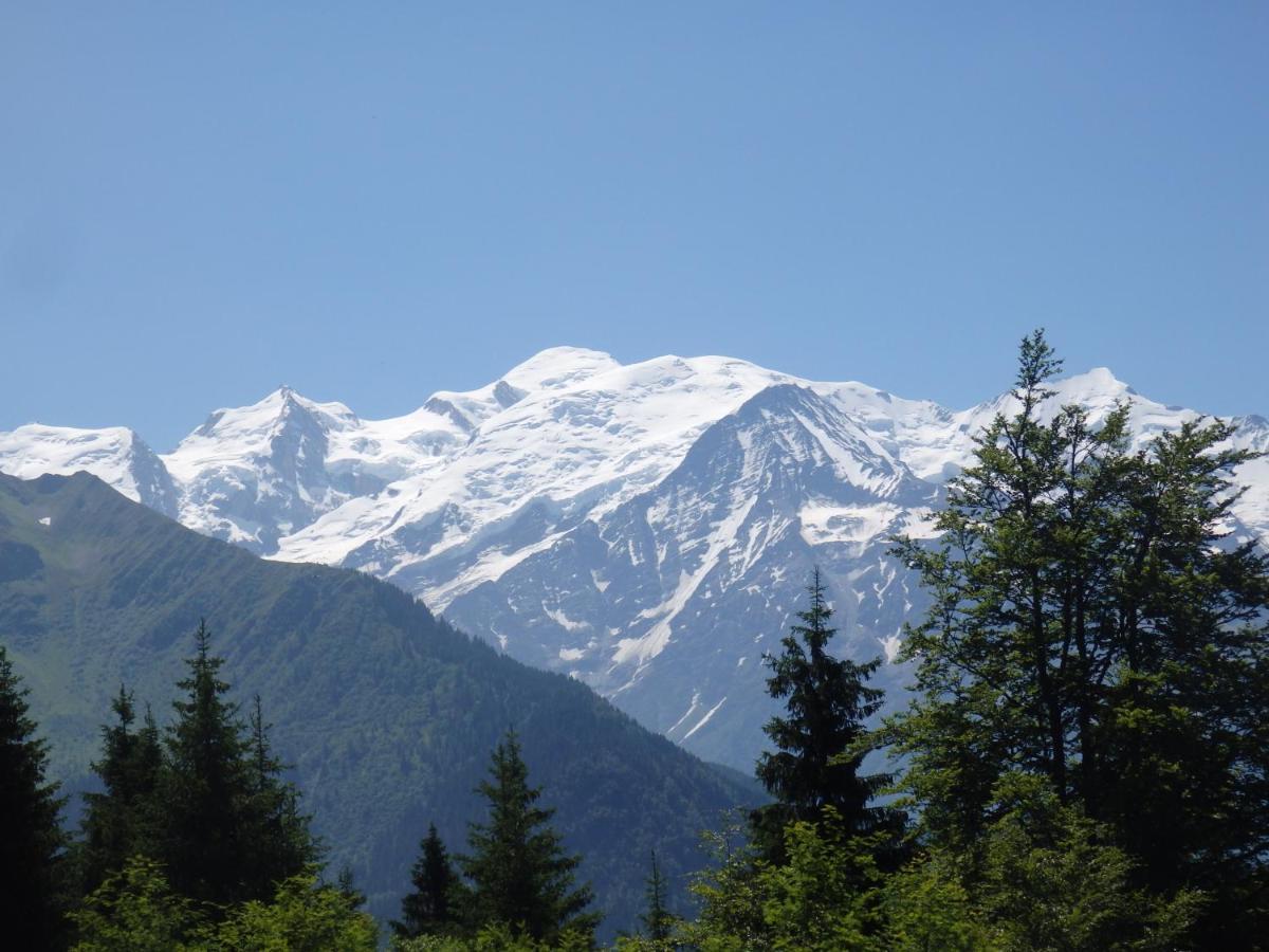 Au Coeur Des Alpes Marignier Exterior foto