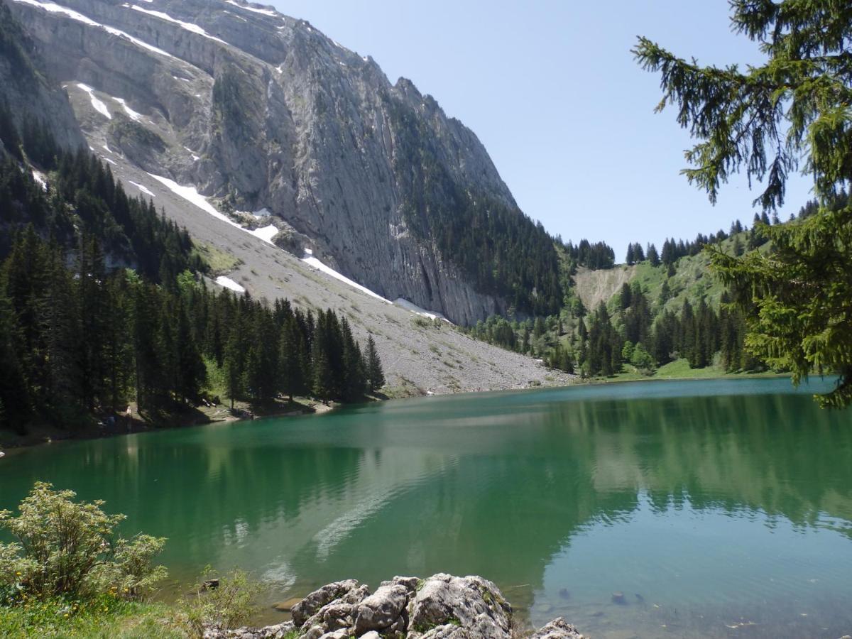 Au Coeur Des Alpes Marignier Exterior foto
